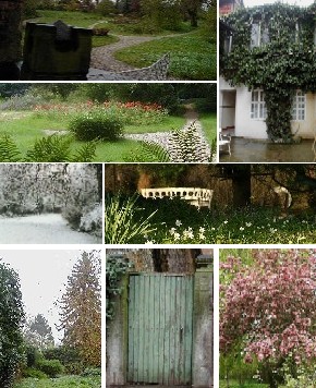 Die Gartenh�rnchen  