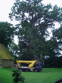 Uwe T�nnies Garten-  und Landschaftsbau