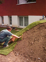 TERRA-GR�N  Landschaftsbau GmbH