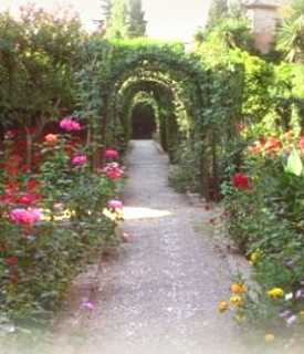 Gartenbauwelt Neub�ser