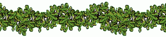 Gartenbau & Gartenpflege Christof R�ger