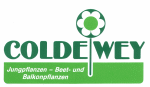 GaLaBau Niedersachsen: COLDEWEY